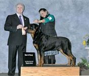 Dozer