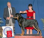 Dozer