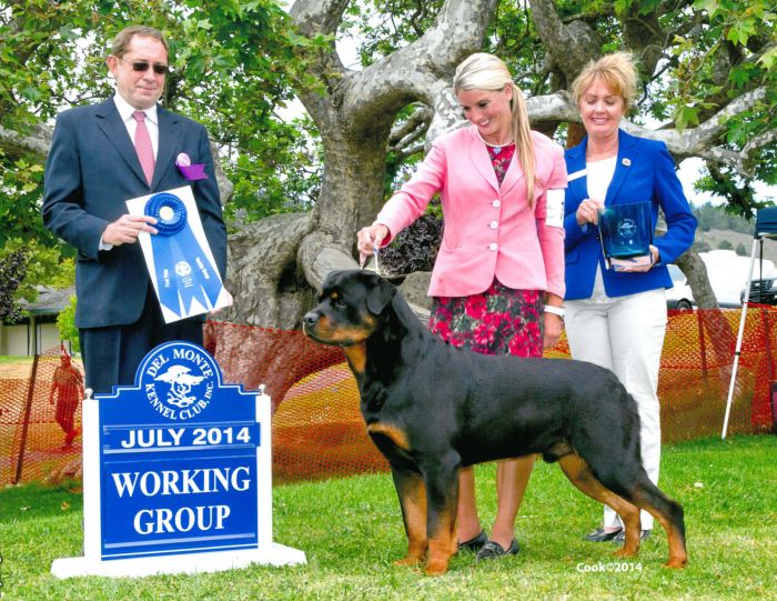Dozer - Group 1