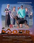 Dozer